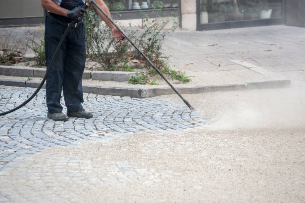 Best Winterizing Services  in Beach Haven West, NJ