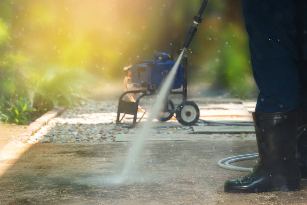 Best Gutter Cleaning  in Beach Haven West, NJ